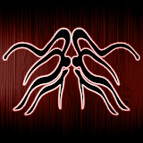Phluid Vision